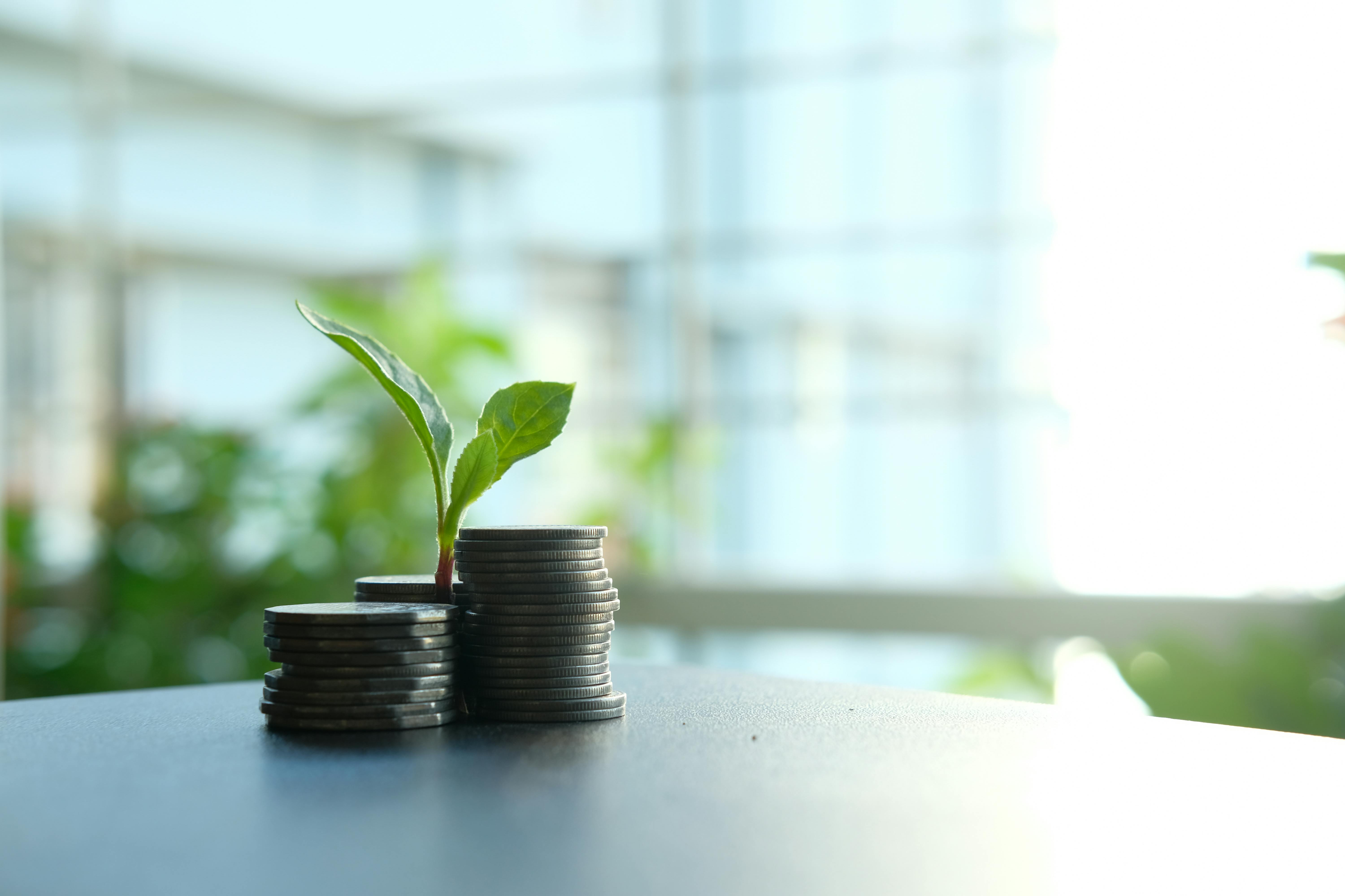 Stratégie de transformation I Analyse financière I Pot de fleur posé sur une table